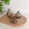3 Piece Vintage Glass Vase Set For Plants 8