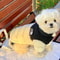 Warm Cotton Down Dog Winter Coat 3