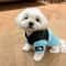 Warm Cotton Down Dog Winter Coat 10