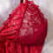 Women Red Lace Nightdress Set With Sheer V Neck Cami And Panties 4