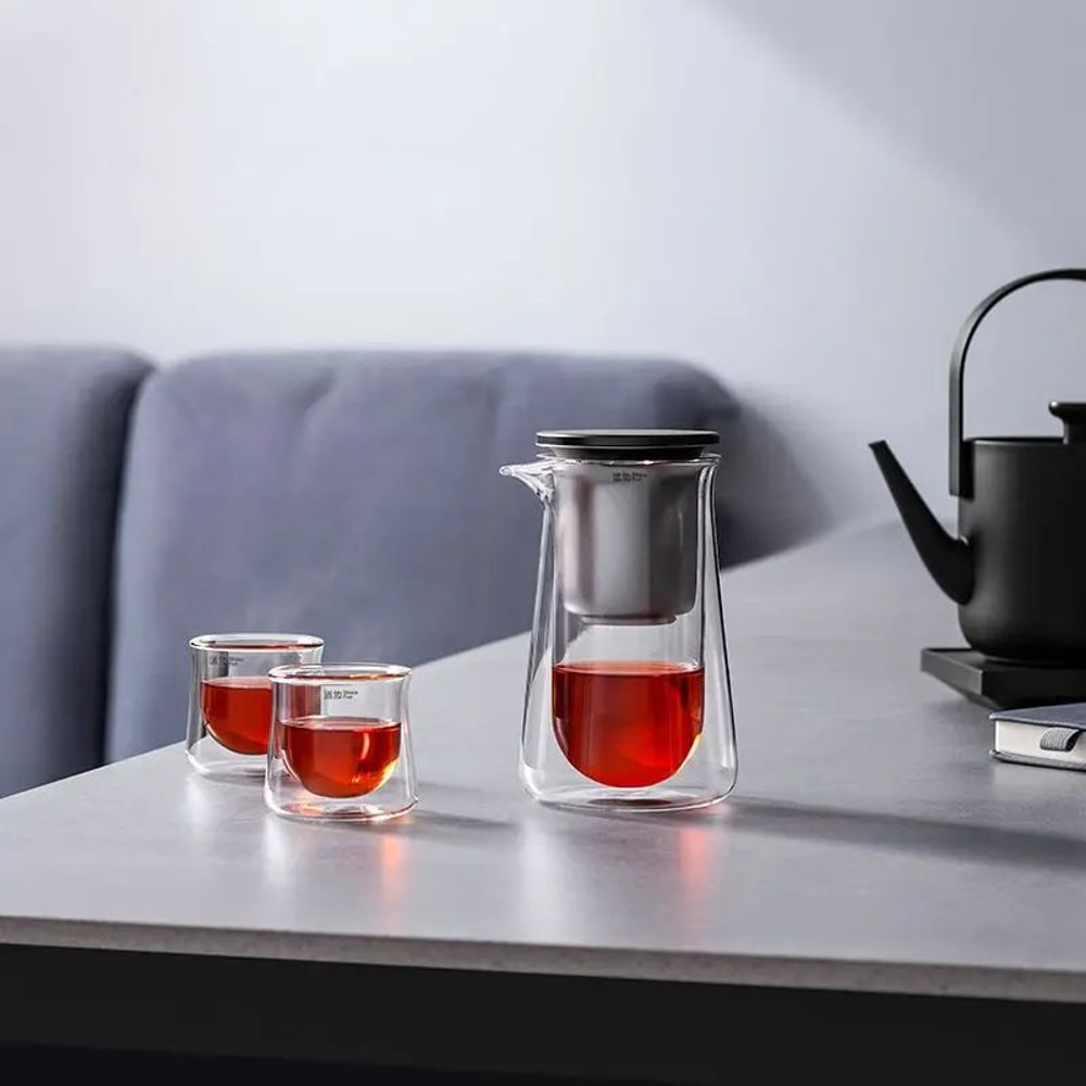 HighEnd Glass Teapot With OneButton Filtration 4