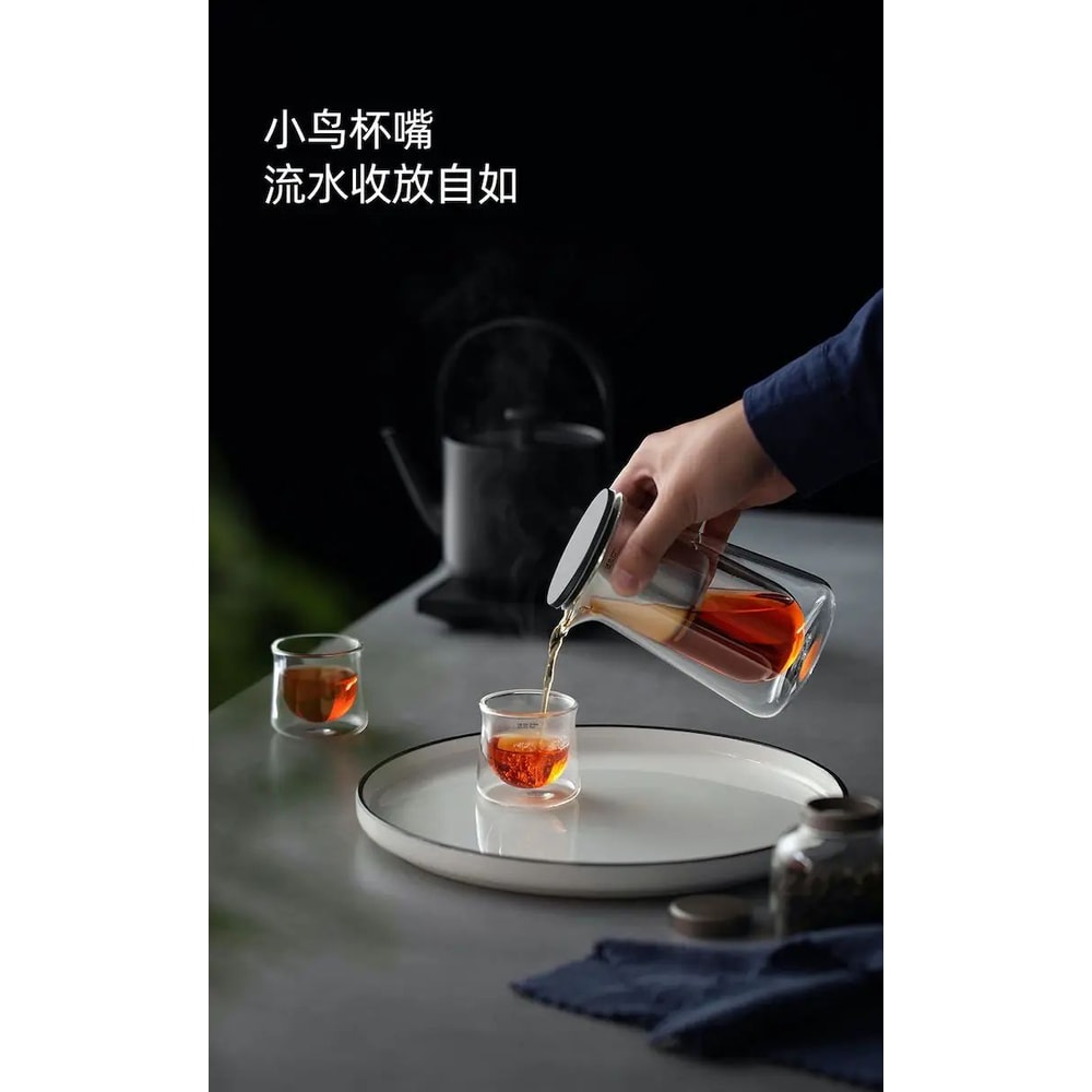 HighEnd Glass Teapot With OneButton Filtration 11