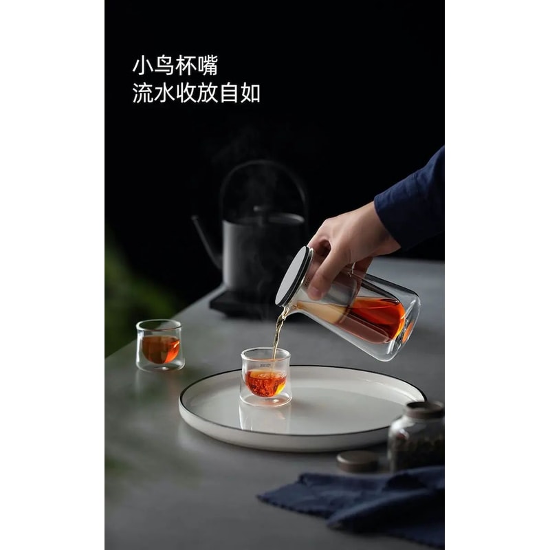 HighEnd Glass Teapot With OneButton Filtration 11