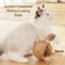 Interactive Sisal Cat Scratching Ball Toy 8 To 10cm 2