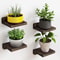 4 Pack Mini Wood Floating Wall Shelves 5 Inch 0