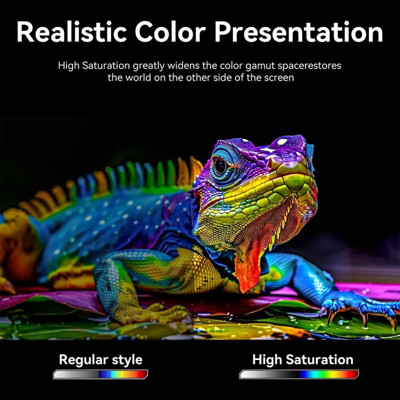 113 Inch Portable IPS Monitor With HDMI And USBC 6