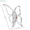 Transparent Acrylic Butterfly Photo Frame Vase For Flowers 5