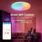 Smart RGB CCT LED Ceiling Light With App Control 2
