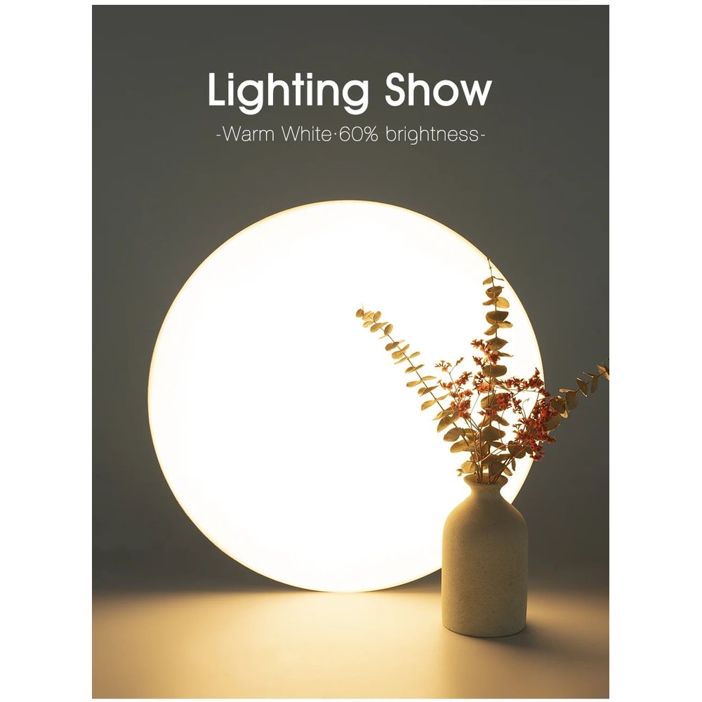 Smart RGB CCT LED Ceiling Light With App Control 10