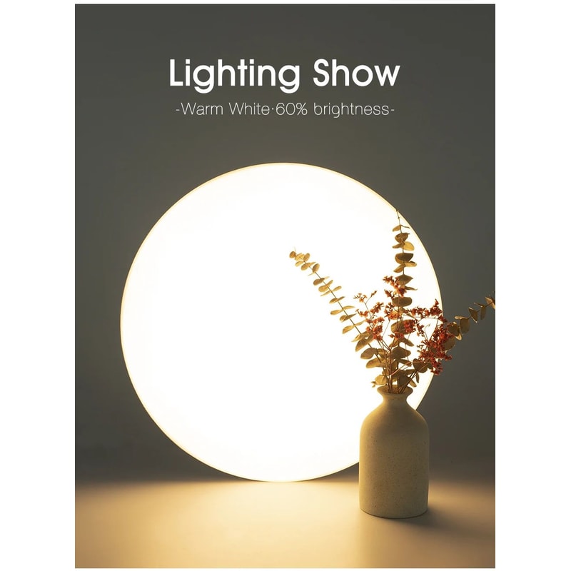 Smart RGB CCT LED Ceiling Light With App Control 10