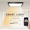 Smart RGB CCT LED Ceiling Light With App Control For Home 7