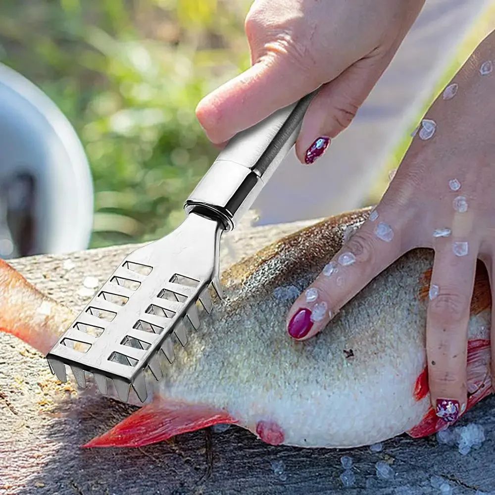 Stainless Steel Fish Scale Remover And Clean Tool 5