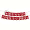 16pcs Christmas Non Woven Bunting Flag Decoration Set 2