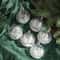 Transparent Snowball Christmas Tree Ornaments Set 6pcs 9