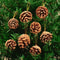 Mini Pinecone Christmas Tree Ornaments Set 6pcs 0