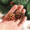 Mini Pinecone Christmas Tree Ornaments Set 6pcs 7
