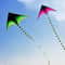 Large Delta Kite With 5m Tail Easy To Fly Outdoor Kite For Kids And Adults 0