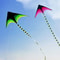 Large Delta Kite With 5m Tail Easy To Fly Outdoor Kite For Kids And Adults 0
