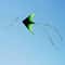Large Delta Kite With 5m Tail Easy To Fly Outdoor Kite For Kids And Adults 3