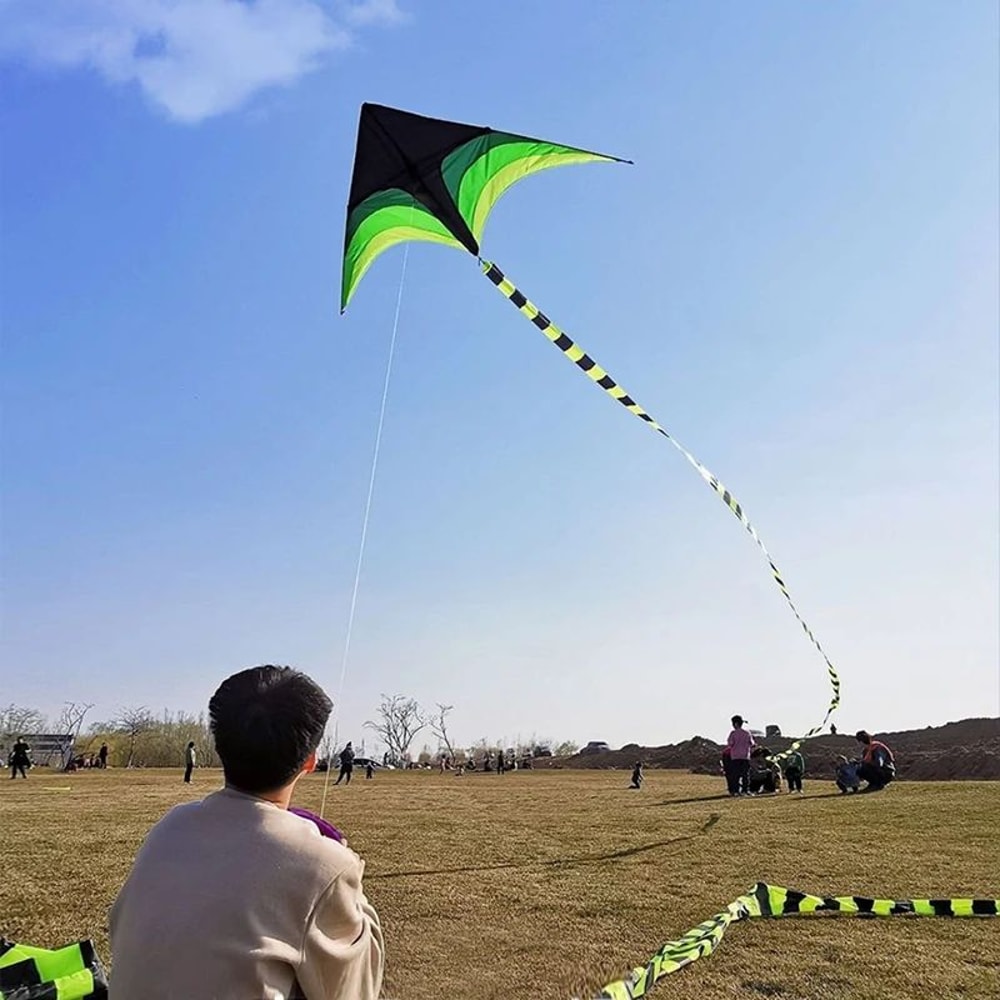 Large Delta Kite With 5m Tail Easy To Fly Outdoor Kite For Kids And Adults 5