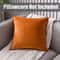 Super Soft Velvet Cushion Cover Solid Color Decorative Pillow Cover 16