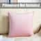 Super Soft Velvet Cushion Cover Solid Color Decorative Pillow Cover 10