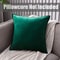 Super Soft Velvet Cushion Cover Solid Color Decorative Pillow Cover 11