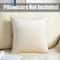 Super Soft Velvet Cushion Cover Solid Color Decorative Pillow Cover 13