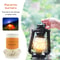 Multipurpose Kerosene Stove Replacement Wick Set 0