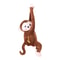 Cute Monkey Hanging Car Tissue Box Holder Coffee Color 1