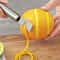 Stainless Steel Lemon Zester Grater Kitchen Peeler Tool 1