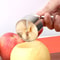 Stainless Steel Apple Pear Corer Fruit Core Remover Tool 2