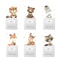 Cute Cartoon Animal Light Switch Wall Stickers Kids Room 13