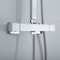 Wall Mounted Thermostatic Shower Faucet Stainless Steel Hot Cold Mixer 2