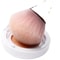 Rose Gold Fan Makeup Brush Soft Highlight Blush Powder Brush 10