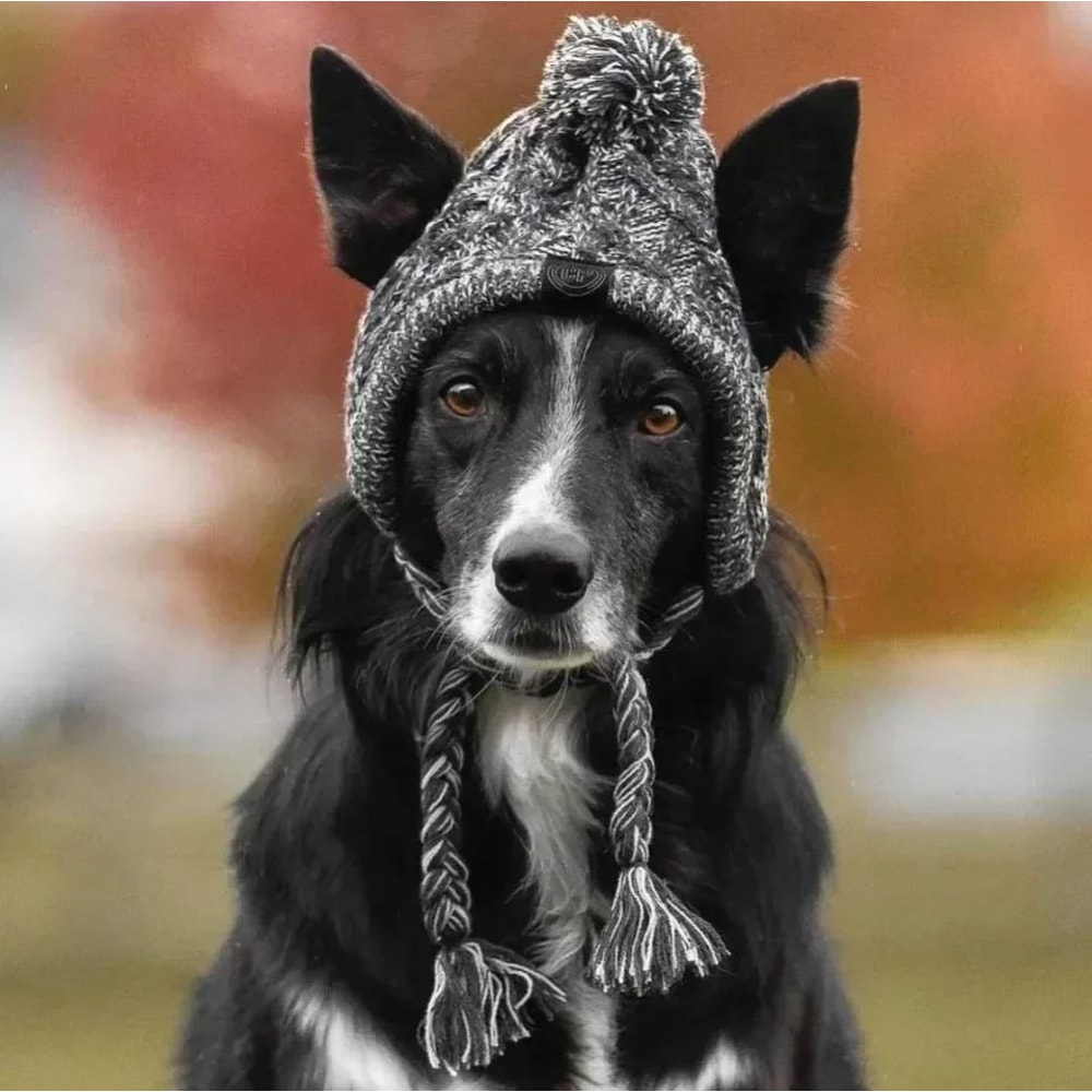 Warm Knitted Pet Hat With Plush Ball Winter Dog Cap 8