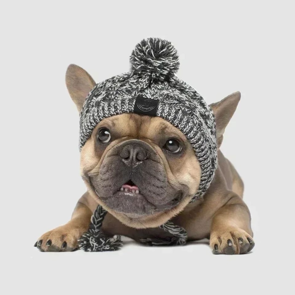 Warm Knitted Pet Hat With Plush Ball Winter Dog Cap 9
