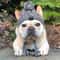 Warm Knitted Pet Hat With Plush Ball Winter Dog Cap 10