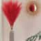 Artificial Pampas Grass Red Faux Reeds Decor 55cm Set 5