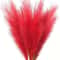 Artificial Pampas Grass Red Faux Reeds Decor 55cm Set 11