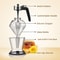 Diamond Glass Honey Dispenser With Stand 200ml Sauce Bottle 2