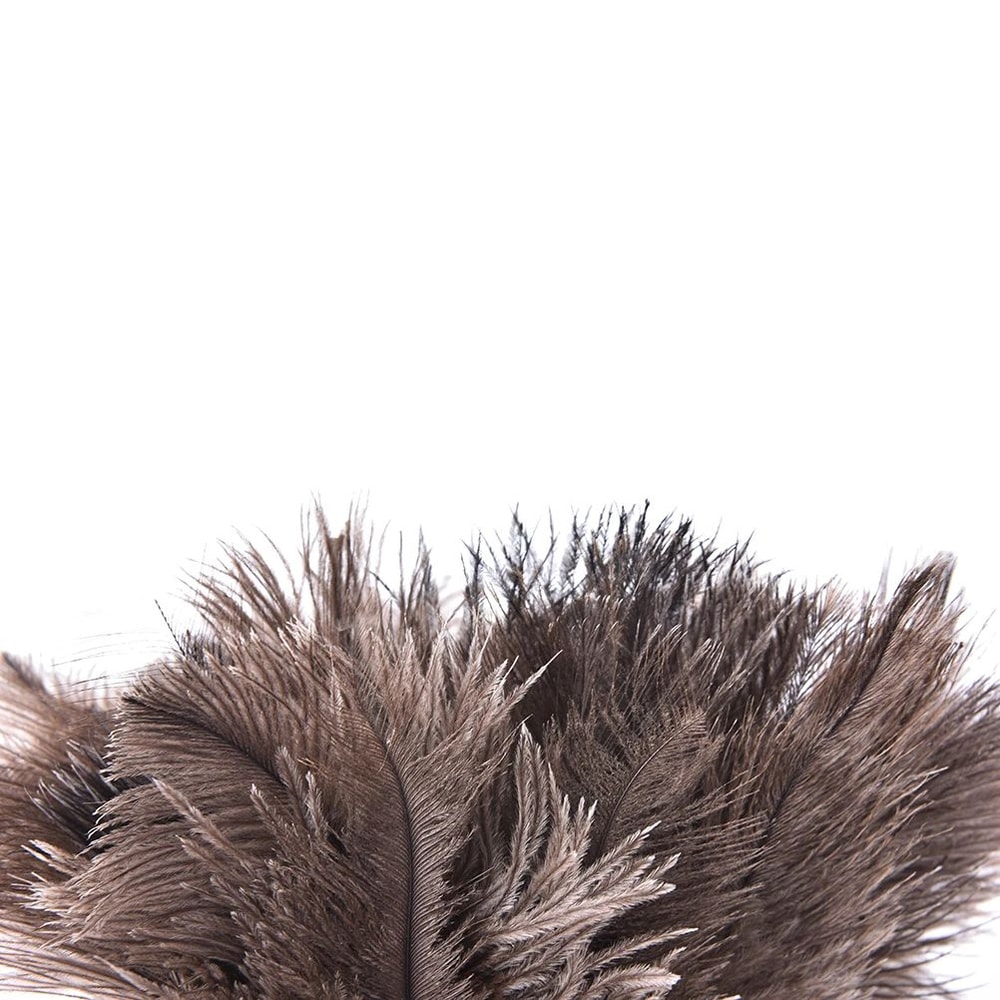 Ostrich Feather Duster With Wooden Handle 55cm 4