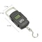 Portable Digital Luggage Scale 50kg LCD Display 5