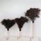 Ostrich Feather Duster Wooden Handle Household Cleaner 9