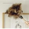 Ostrich Feather Duster Wooden Handle Household Cleaner 12