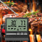 Digital Food Thermometer With Probe And LCD Display 1