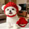 Cute Knit Dog Beanie Hat With Ear Flaps For Small Dogs 0