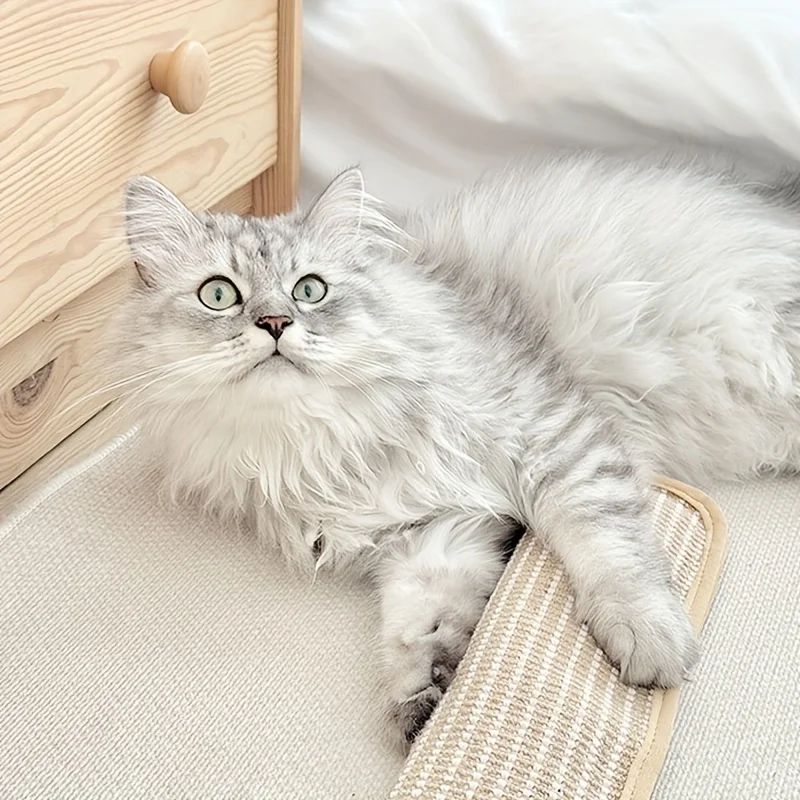Sisal Cat Scratching Pad Bed With Cushion Non Slip Base 3