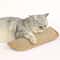 Sisal Cat Scratching Pad Bed With Cushion Non Slip Base 9
