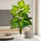 Artificial Areca Palm Tree In Pot For Home Decoration 8